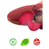 Beetroot-powder-1-300×300